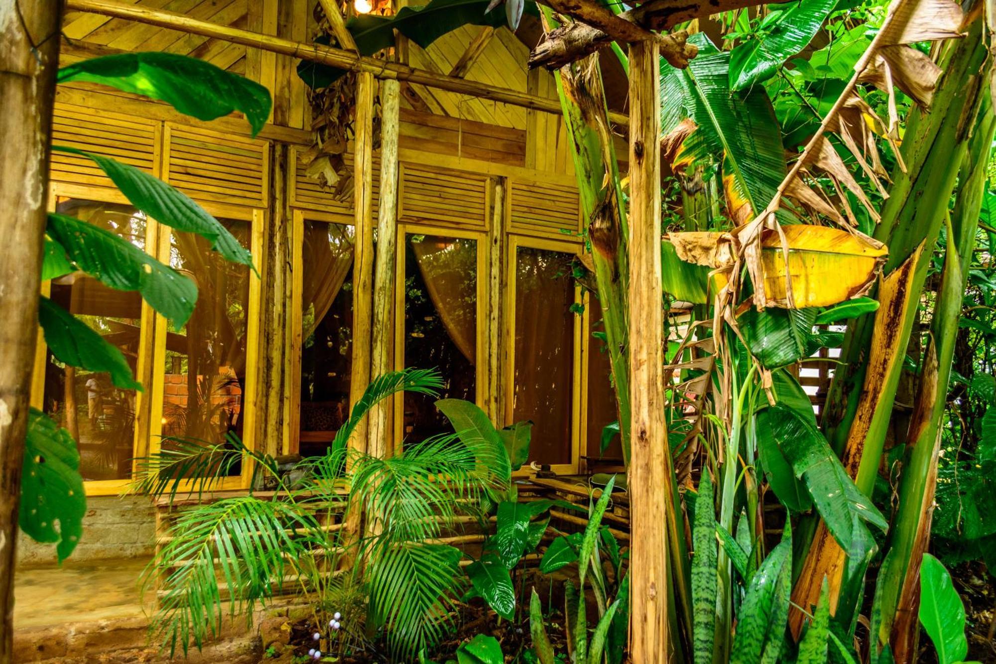 Backyard Hostel Moshi Exterior photo