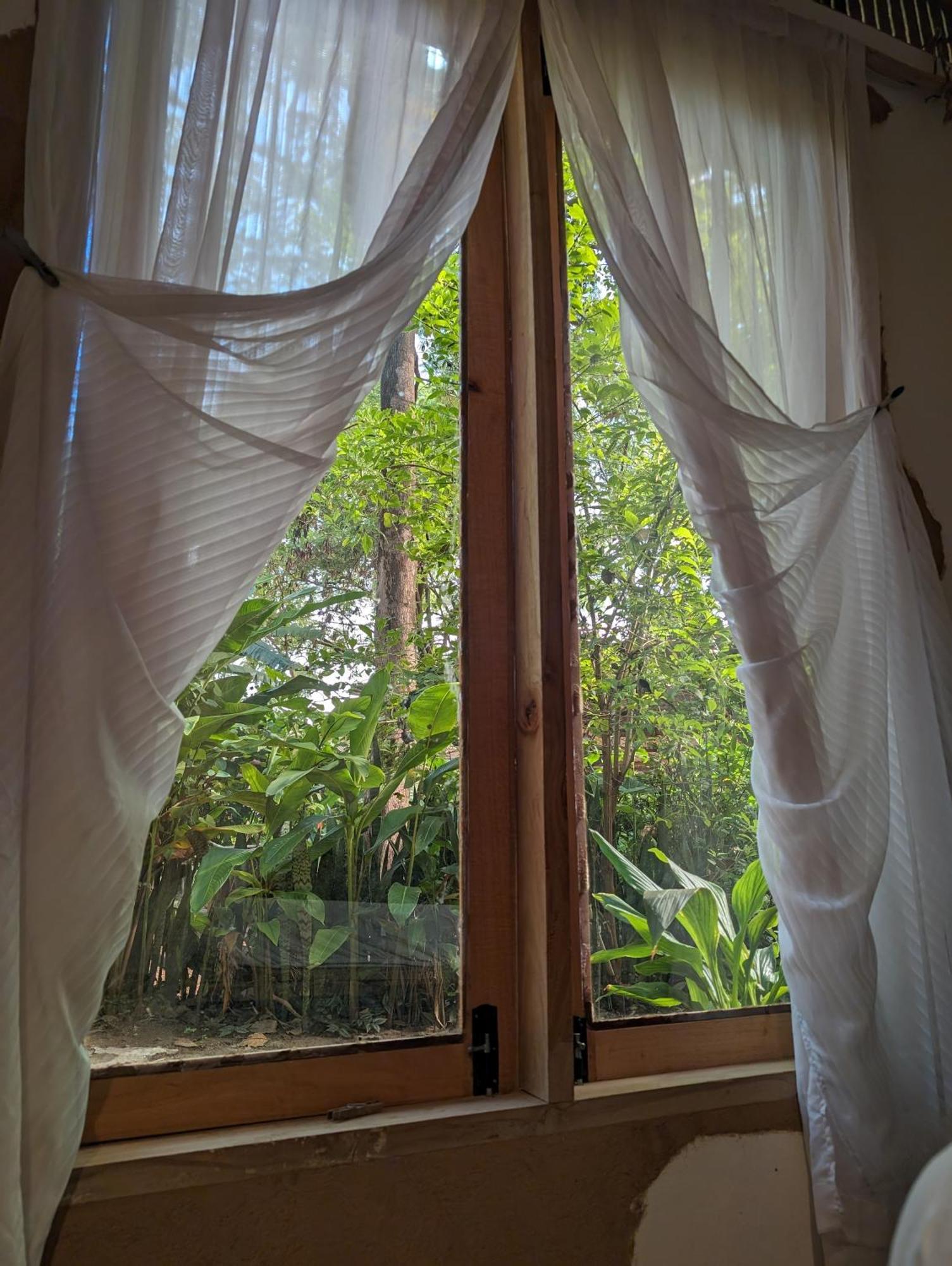 Backyard Hostel Moshi Exterior photo
