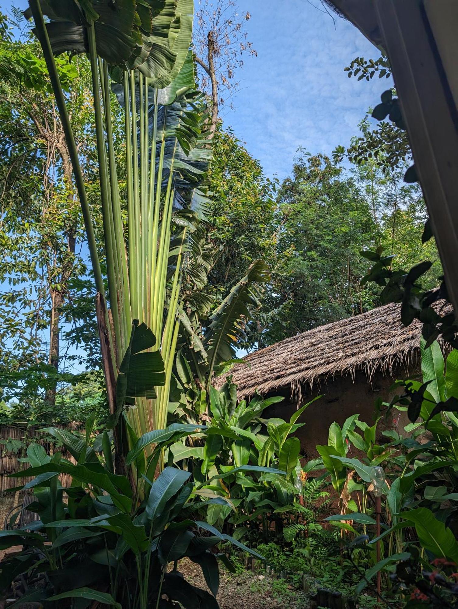 Backyard Hostel Moshi Exterior photo