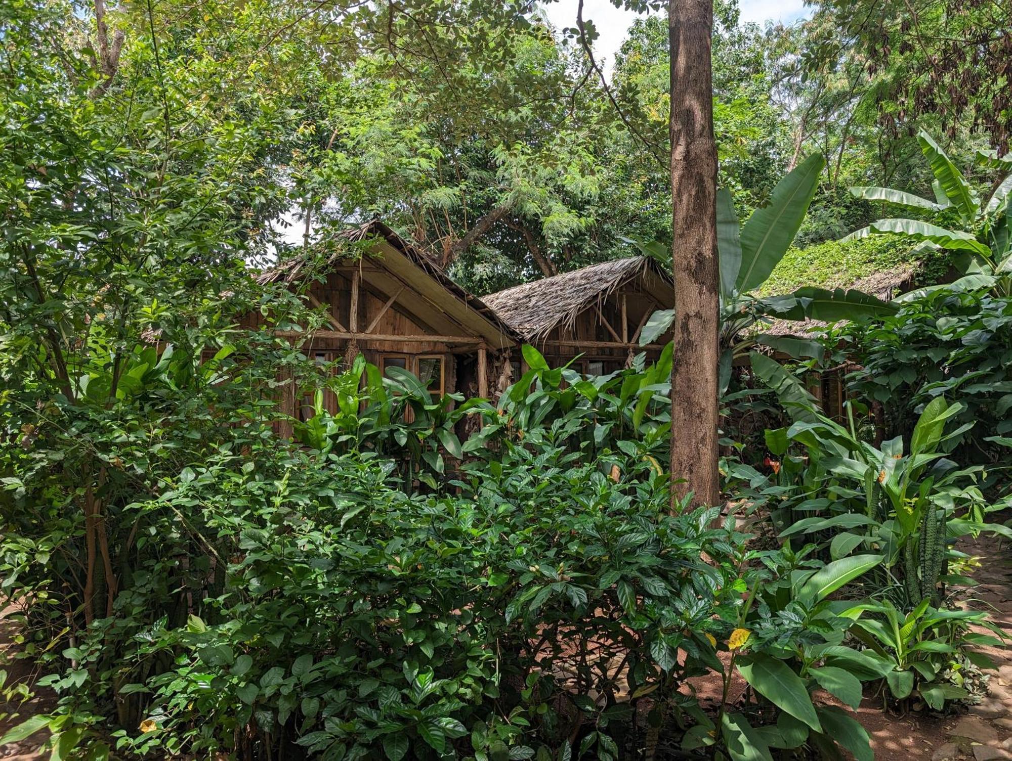 Backyard Hostel Moshi Exterior photo